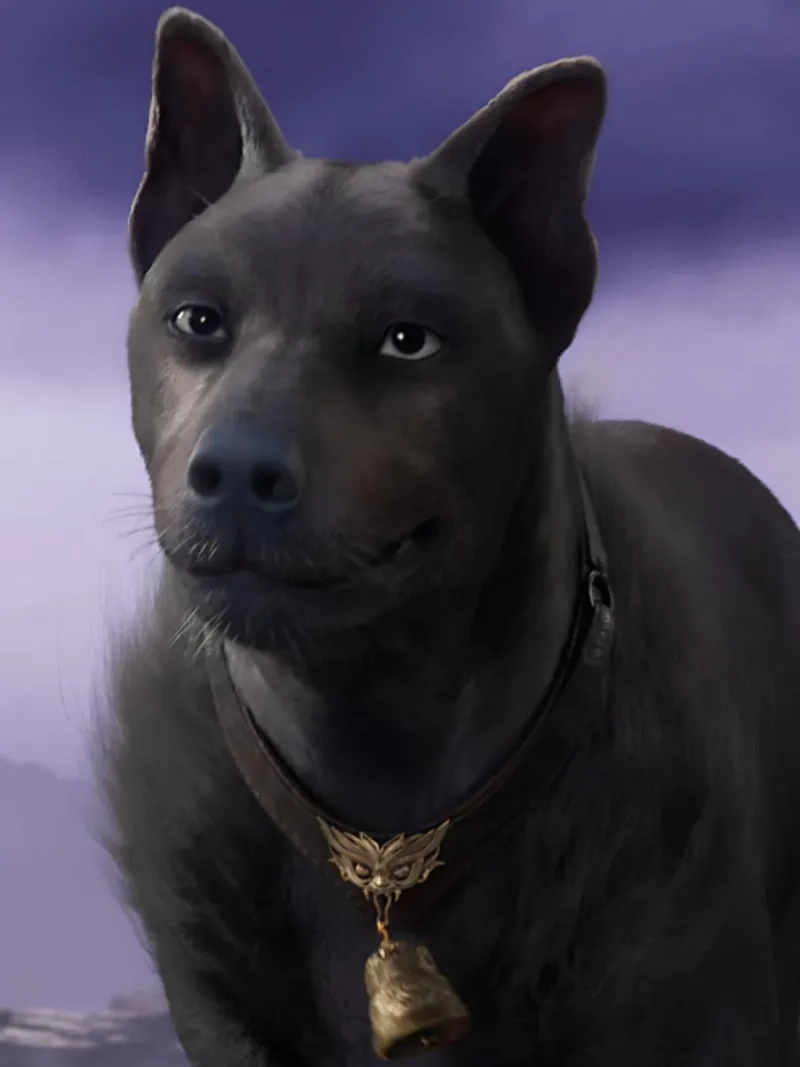 Nhân vật Hắc Hoàng Chó Đen gây sốt Già Thiên hài hước