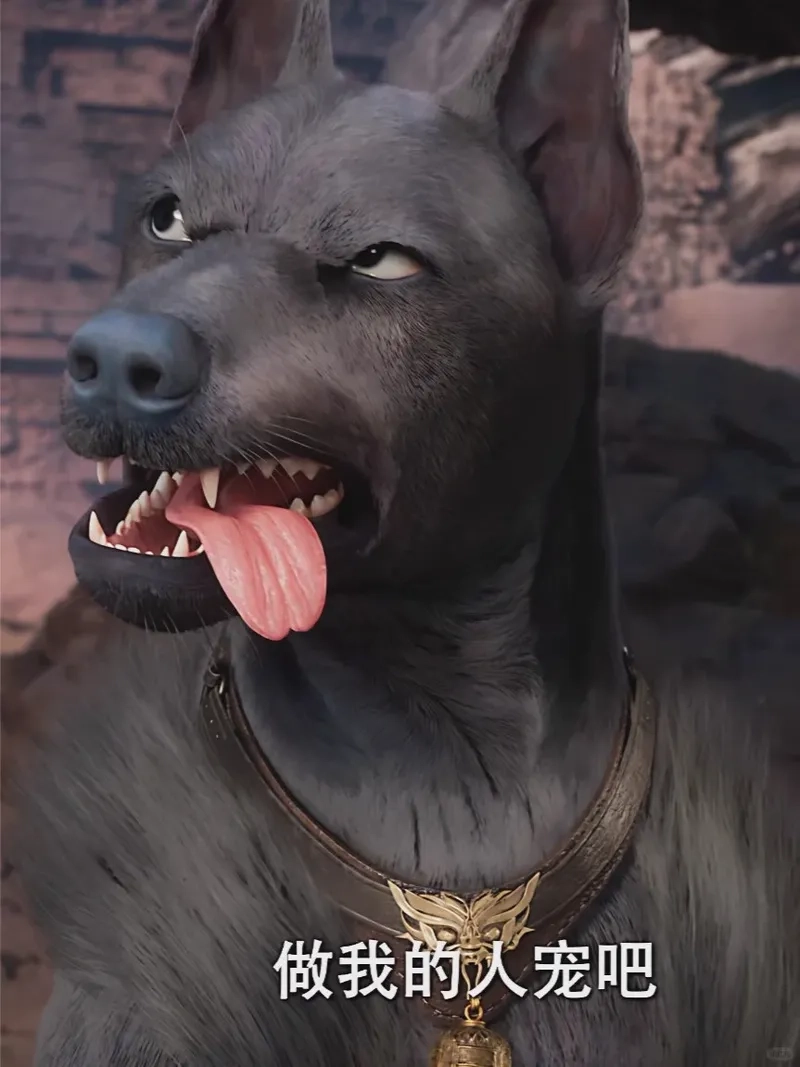 Hắc Hoàng meme lan truyền mạnh trên mạng xã hội