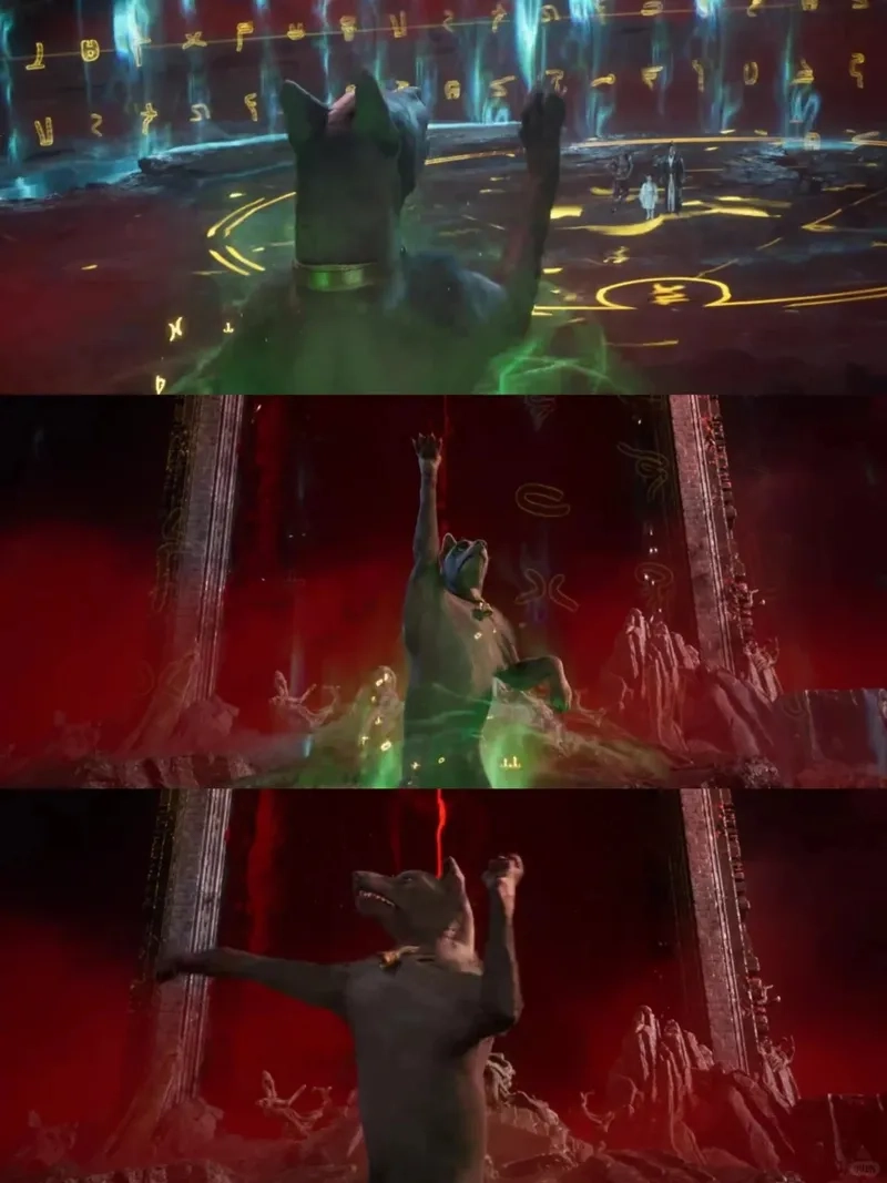 Hắc Hoàng chó thần mang thân phận khiến ai cũng tò mò